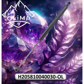 Амортизатор H205810040030-OL, H205810040030 до техніки Fendt