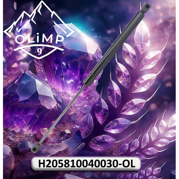 Амортизатор H205810040030-OL, H205810040030 до техніки Fendt