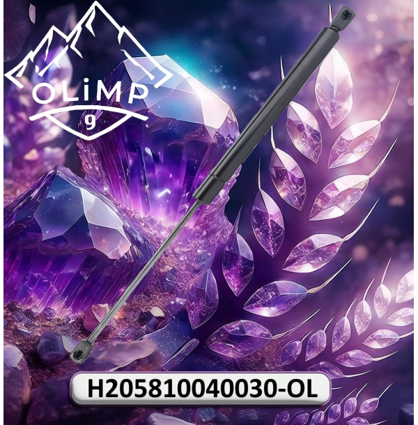 Амортизатор H205810040030-OL, H205810040030 до техніки Fendt