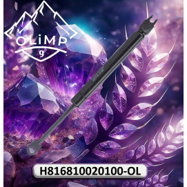 Амортизатор газовий H816810020100-OL, H816810020100 до техніки Fendt